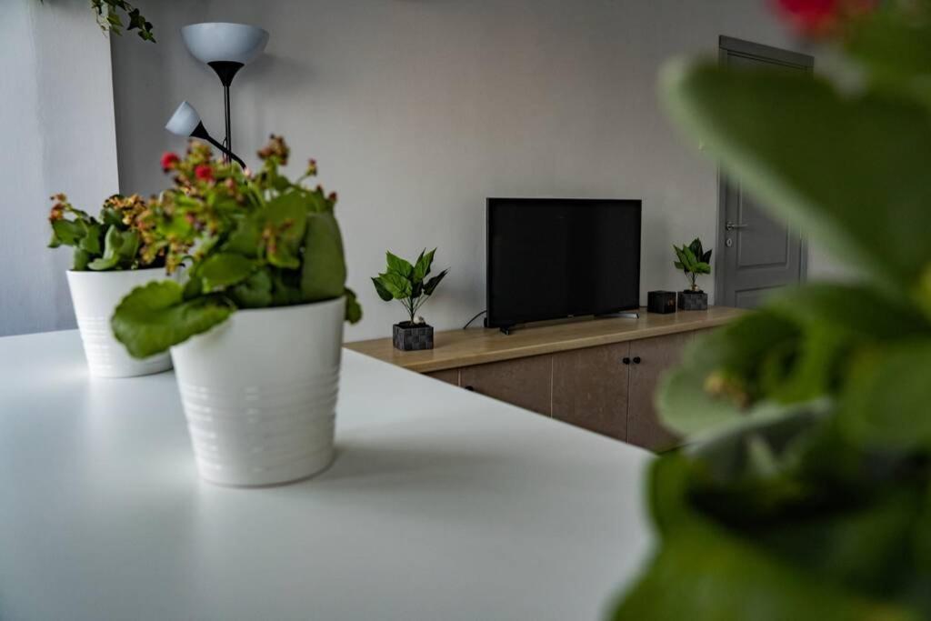 Modern 1 Bedroom Apartment In Bucharest Center! Dış mekan fotoğraf